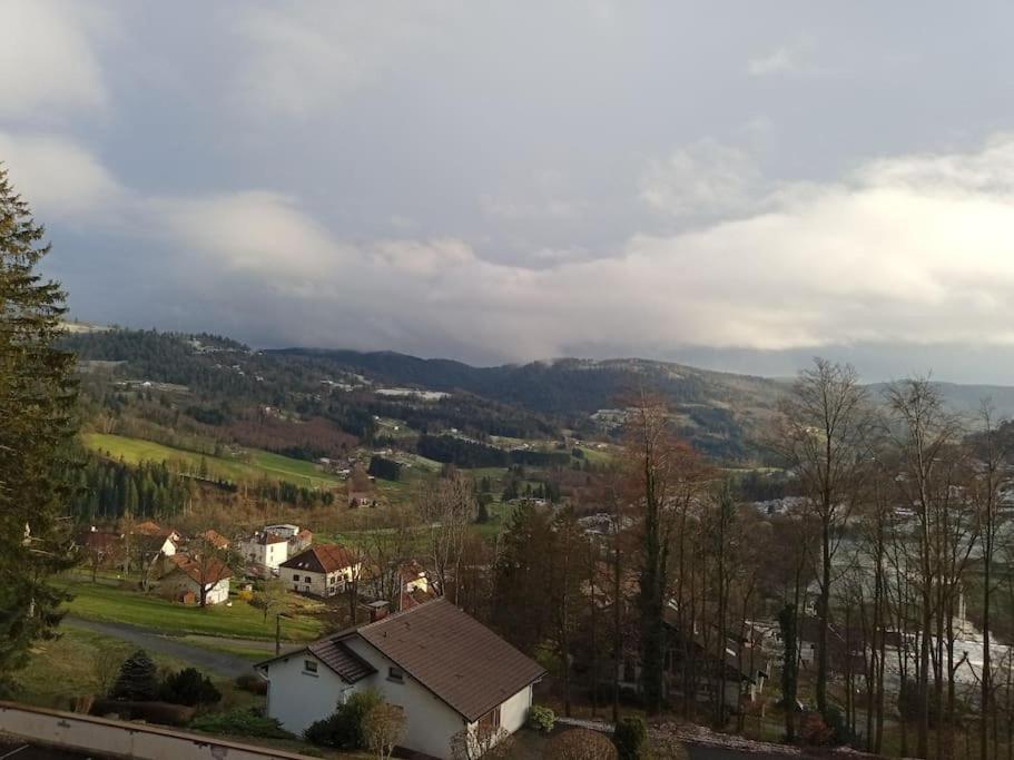 Duplex - Proche De Gerardmer Le Tholy Bagian luar foto