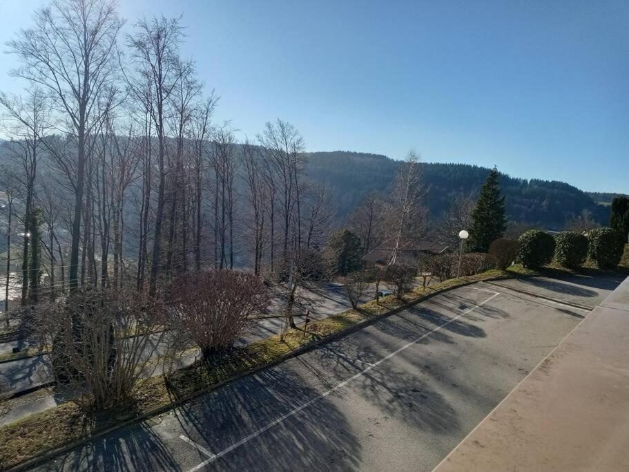 Duplex - Proche De Gerardmer Le Tholy Bagian luar foto