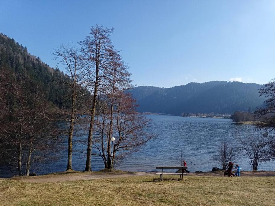Duplex - Proche De Gerardmer Le Tholy Bagian luar foto