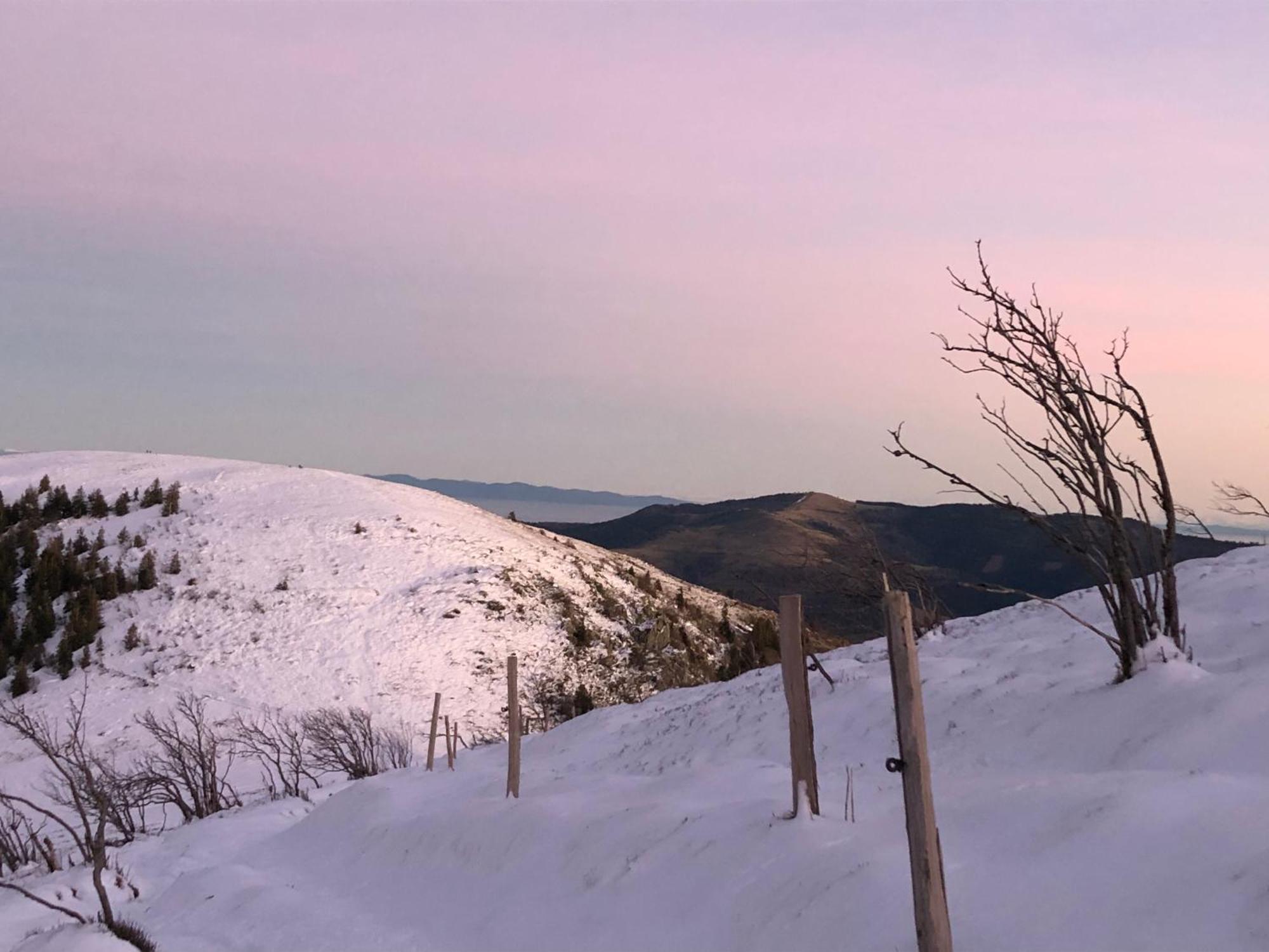 Duplex - Proche De Gerardmer Le Tholy Bagian luar foto