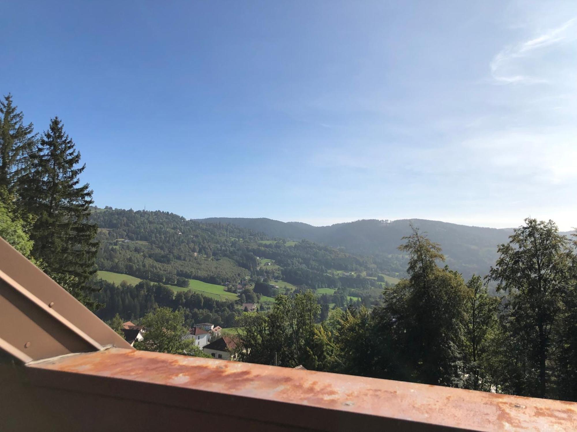 Duplex - Proche De Gerardmer Le Tholy Bagian luar foto